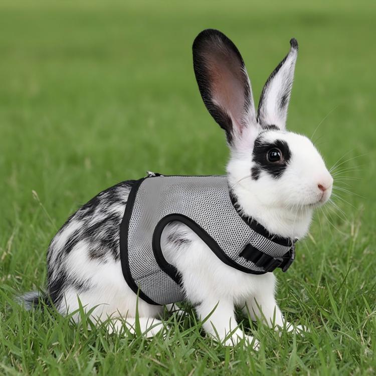 Rabbit Ferret Harness & Leash Small Pet Vest-Style Harness Leash, S, M, L