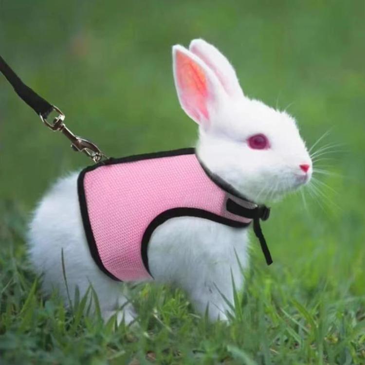 Rabbit Ferret Harness & Leash Small Pet Vest-Style Harness Leash, S, M, L