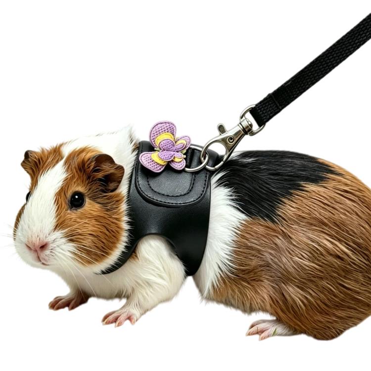Black guinea pig harness with flower charm and metal leash clip