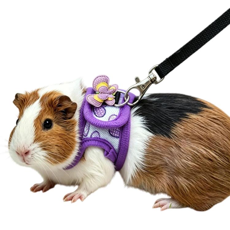 Purple guinea pig harness with flower charm and metal leash clip