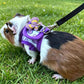 Purple guinea pig harness with flower charm and black leash strap