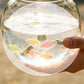 White round anti-jump aquarium cover with cutout holes over tank opening