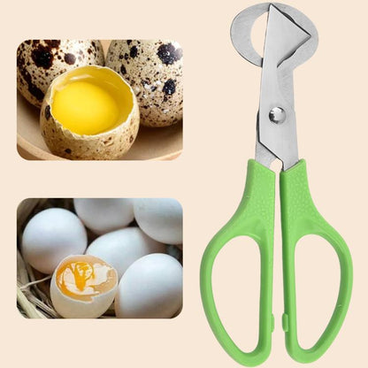 Quail egg cutting scissors with stainless steel blades and green handles