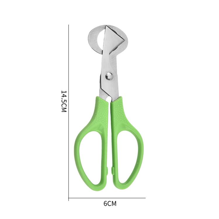 Quail egg scissors with green handles, stainless steel cutting head, size 6 cm