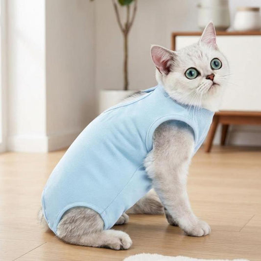 Light blue cat surgery recovery suit with arm and belly openings, soft elastic fit.
