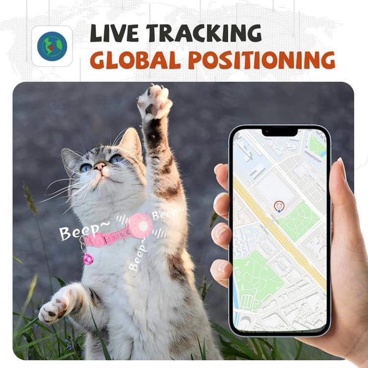 Pink cat tracker collar with bell, shown with map on phone app