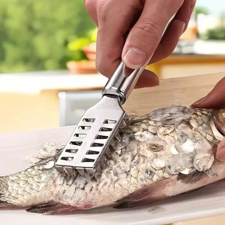 Stainless Steel Fish Scaler, LsCook Square