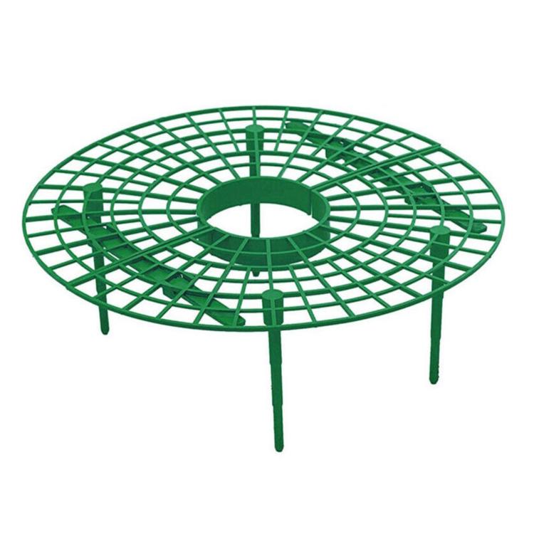 Strawberry Supports Keep Fruit Elevated to Avoid Ground Rot Strawberry Growing Cradles