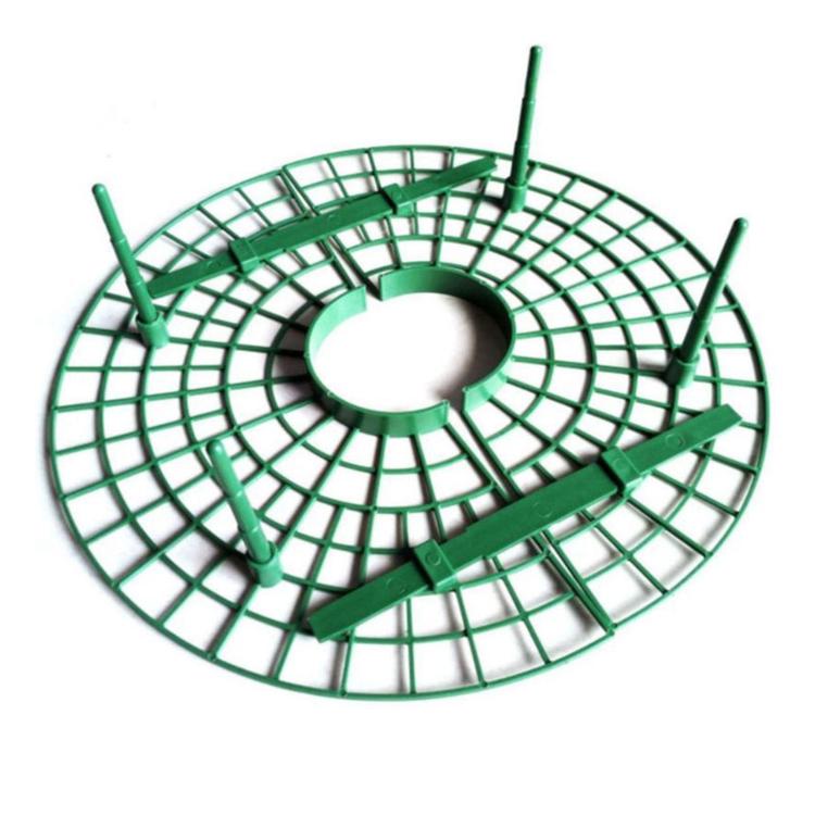 Strawberry Supports Keep Fruit Elevated to Avoid Ground Rot Strawberry Growing Cradles