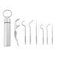 Reusable stainless steel dental pick set with portable case and seven curved and straight picks