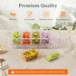 Summer 5-Compartment Fruit Freezer Tray Vegetable Snack Compartments Ice Cube Food Storage Container