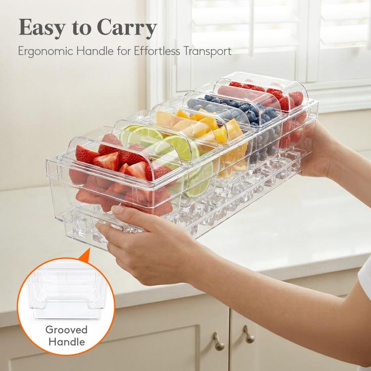 Summer 5-Compartment Fruit Freezer Tray Vegetable Snack Compartments Ice Cube Food Storage Container