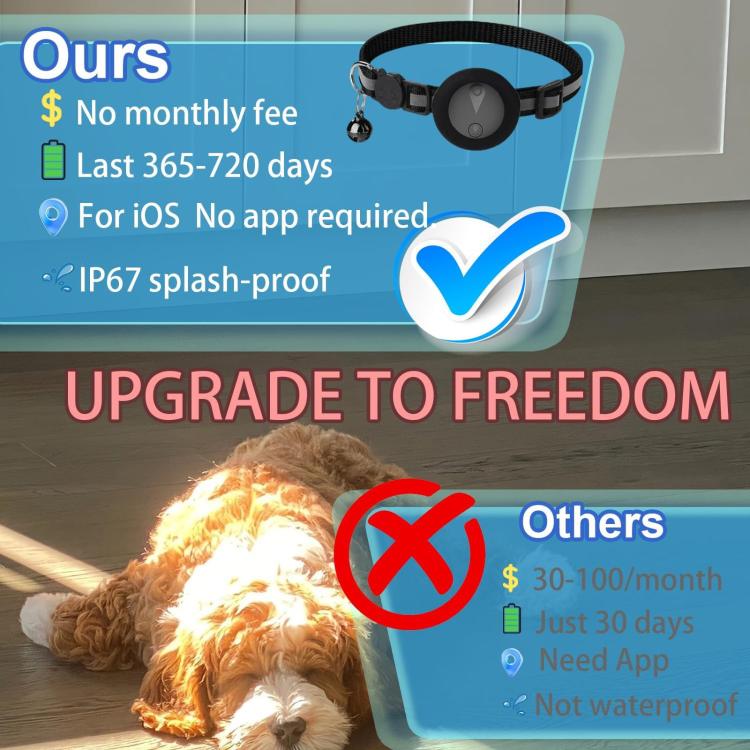 Blue reflective GPS pet tracker collar on a dog with tracking phone display