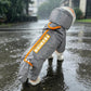 Gray dog raincoat with orange trim, clear mesh hood and tail cover