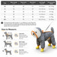 Gray dog raincoat with orange accents and leg coverage for walking