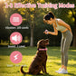 Pink dog training collar remote and pink fabric collar on sitting dog