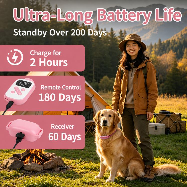 Pink dog training remote and pink fabric collar on golden retriever