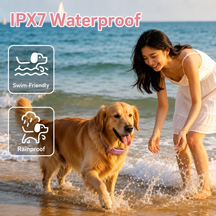 Pink waterproof dog training collar on golden retriever with water splash