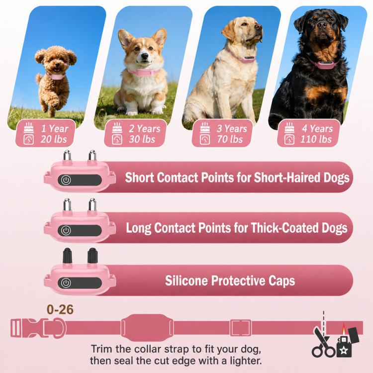 Pink dog training collar remote and receiver with short contact points