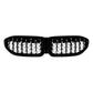 Front kidney grille with black frame and silver mesh crossbars, double-slat center section