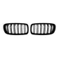 Front kidney grille pair with chrome vertical slats and black surround, centered.
