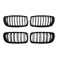 Front grille set with two kidney openings, chrome vertical slats, black frame.