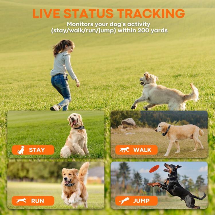 Smart Wireless Electronic Pet Fence Outdoor Waterproof Training Collar