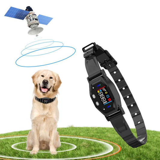 Dog wearing a black GPS pet training collar with digital display, in outdoor yard.