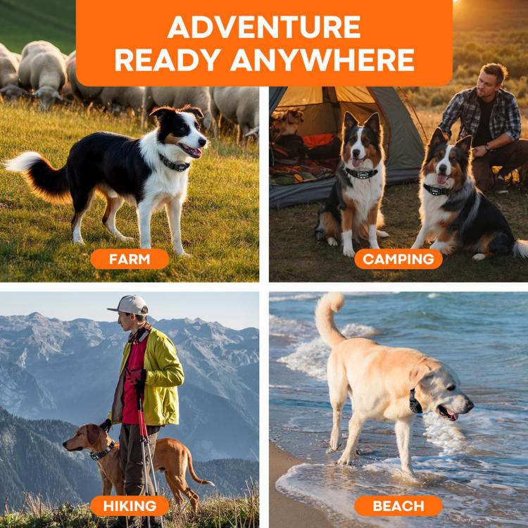 GPS Waterproof Electronic Fence Smart Training Collar for Pets
