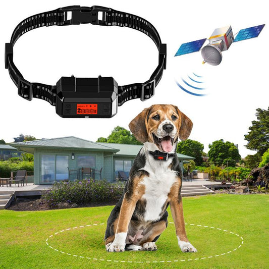 Black GPS dog training collar with adjustable strap and small digital display