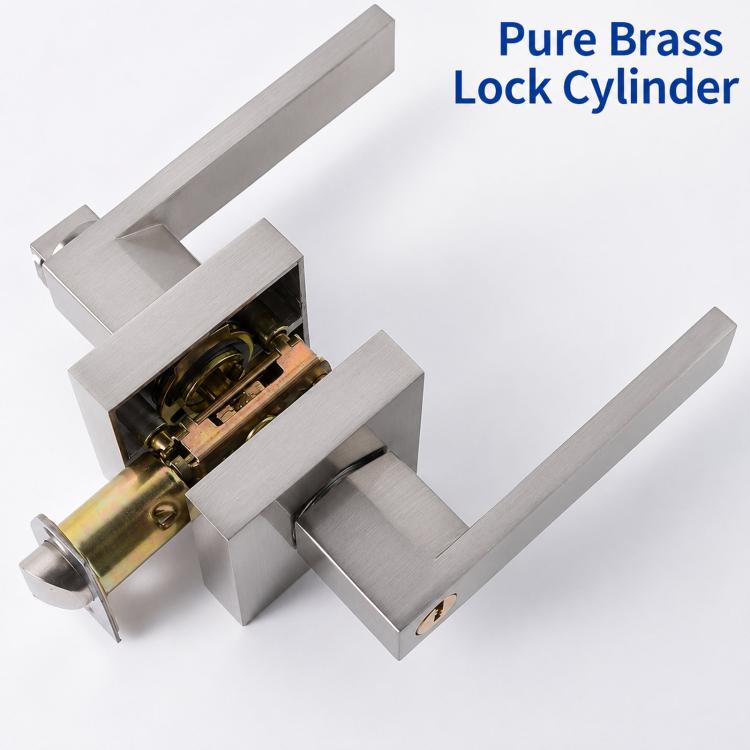 Square door lever lock with exposed latch mechanism and cylinder components