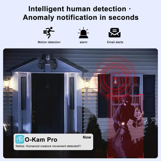 Security camera feature graphic for motion detection, alarm, and email alerts