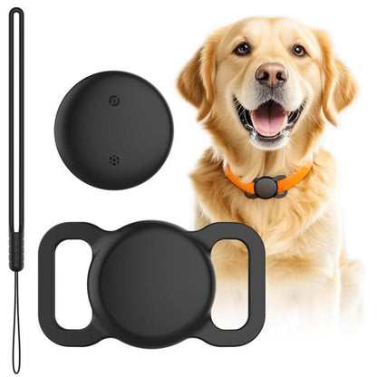 Black silicone pet tracker tag on dog with orange collar