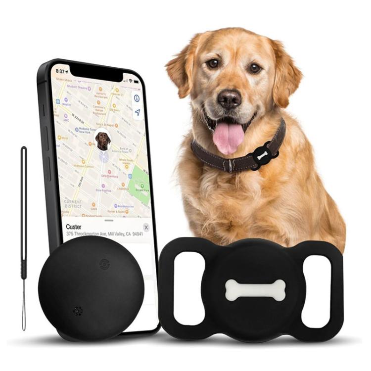 Black pet tracker tag with phone map and dog wearing black collar