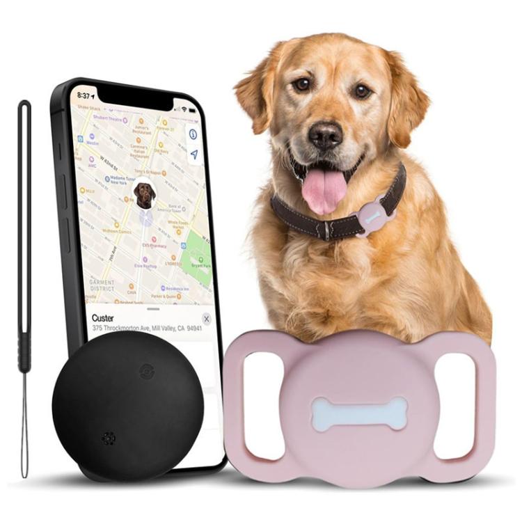 Pink and black silicone pet tracker tags with dog wearing black collar