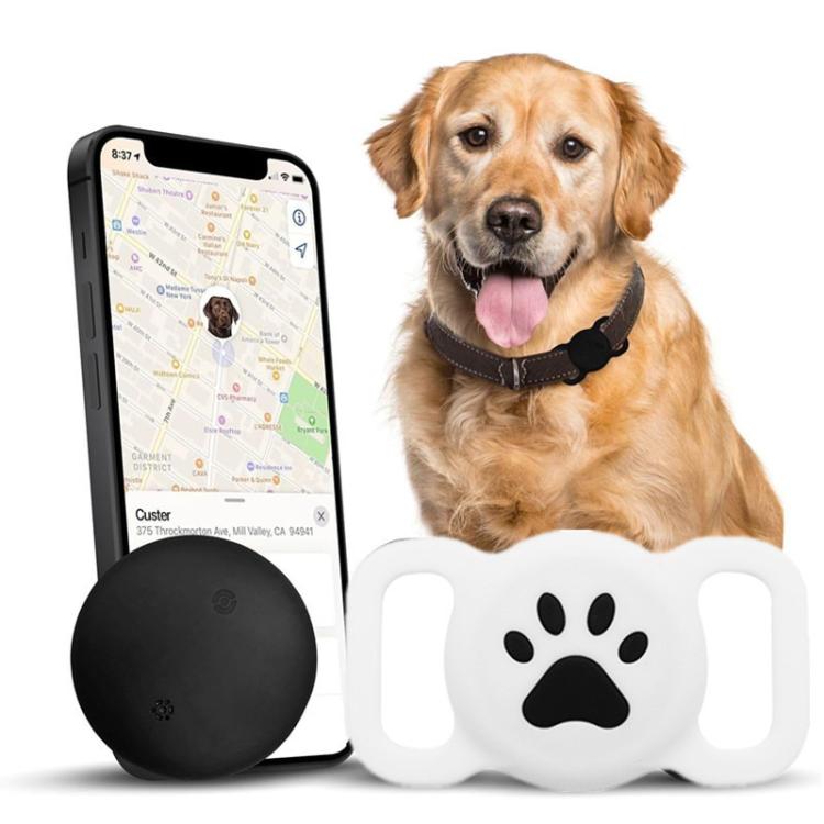 Black and white paw-print silicone pet tracker tags with dog wearing collar