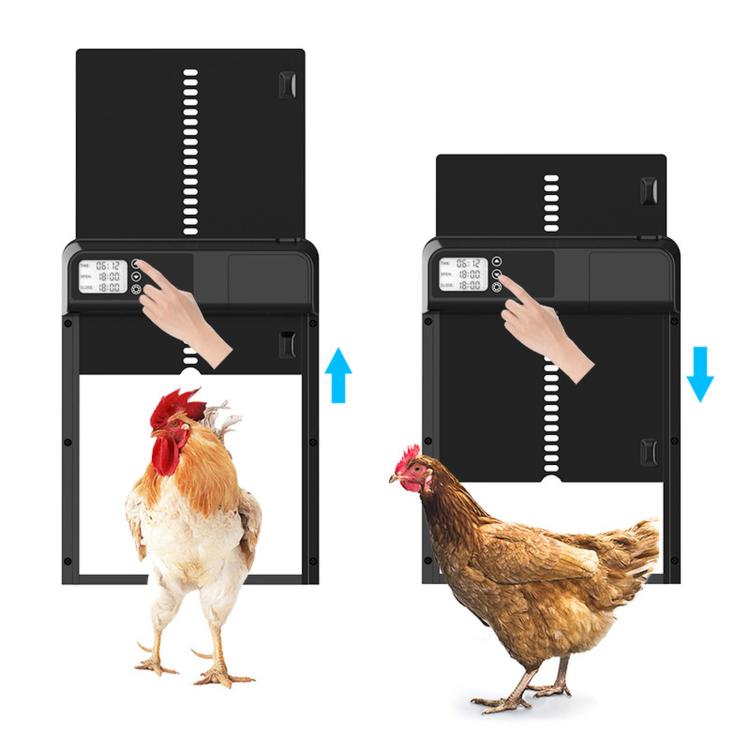 Automatic chicken coop door opener with black control panel and open door gate