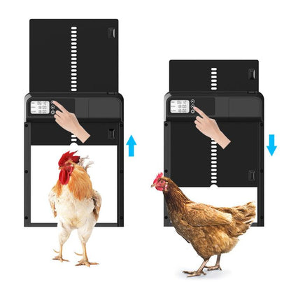 Automatic chicken coop door opener with black control panel and open door gate