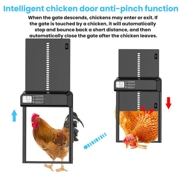 Automatic chicken coop door opener showing open and closed gate positions with chickens