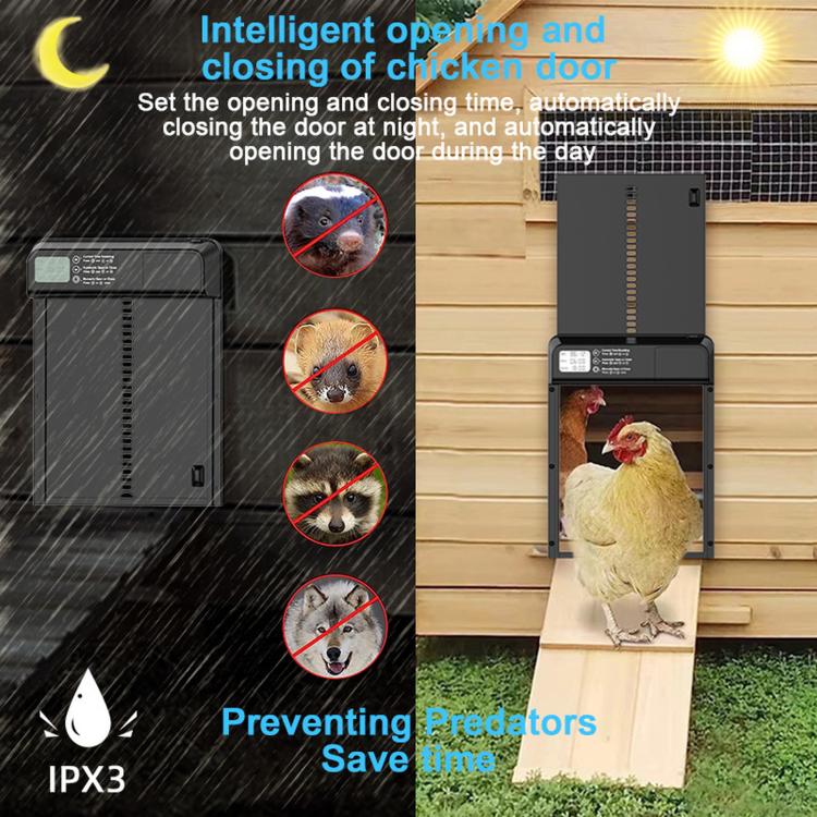 Automatic chicken coop door opener mounted on a wooden coop wall with a chicken