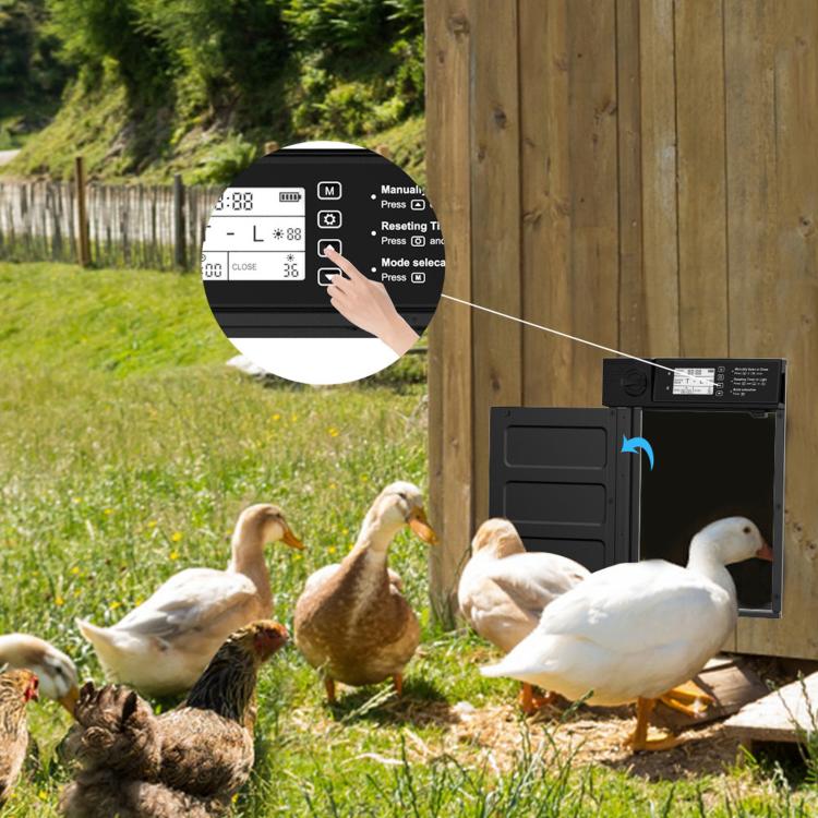 Solar-Powered Chicken Coop Door With Remote Control Light Sensor Alarm, KF4201069