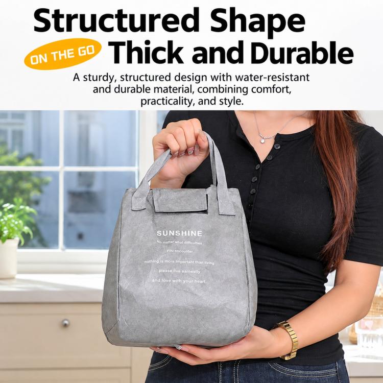 Insulated Tyvek Lunch Bag Thermal Tote Box For Work Office
