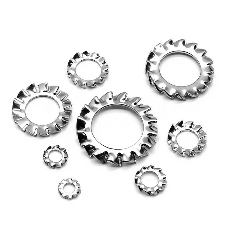 304 Stainless Steel External Tooth Lock Washers Assortment Kit, 160 PCS/Box