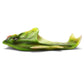 Single green fish-shaped slide sandal with open toe and curved body design.