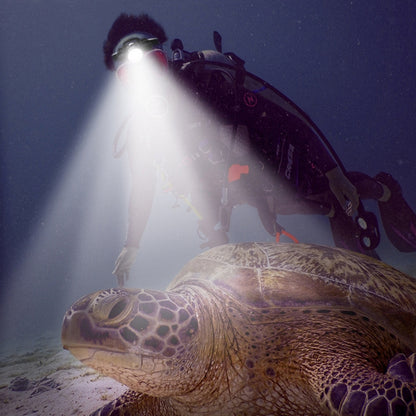 ZY59592061AA_5.jpg@42d94be3fd80f5d92974073a5892b32c